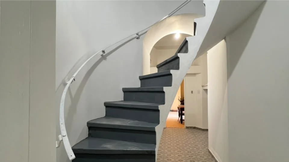 ig1