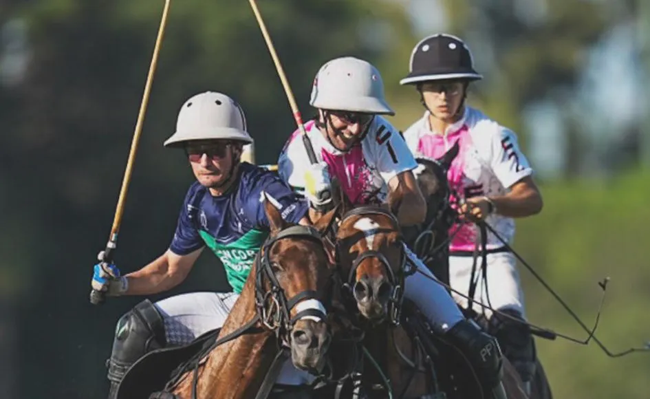 Foto Página 18 arriba - copia