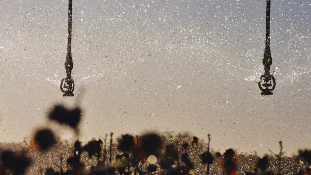 riego por aspersión. Foto INTA