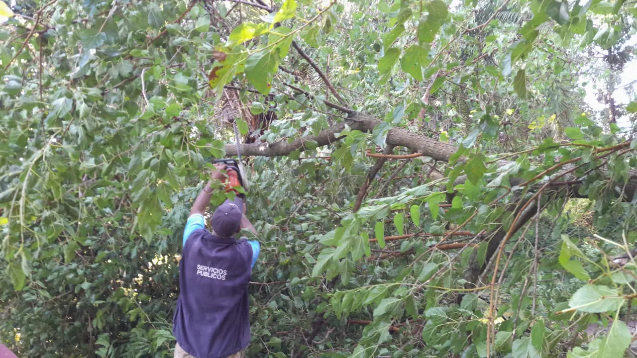 88476069-87f4-4d5a-aba5-d77611f10bb7