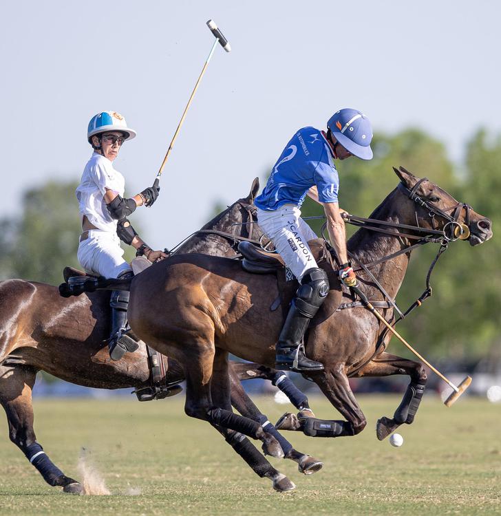 POLO HURLINGHAM LA DOLFINA RS MURUS SANCTUS poroto cambiaso
