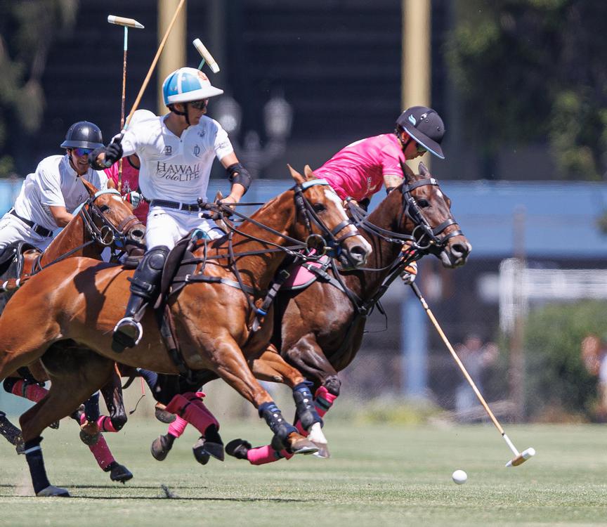 POLO LA DOLFINA BRAVA ALEGRIA fish POROTO CAMBIASO