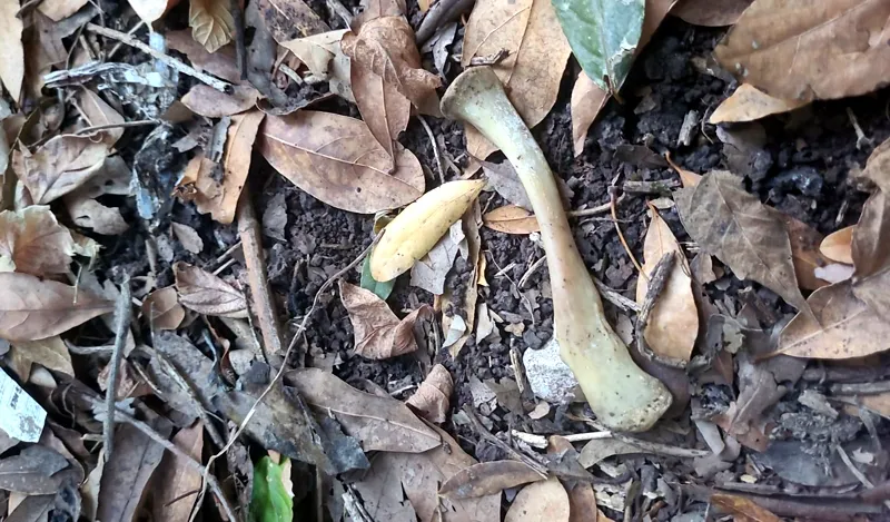 WhatsApp Image 2024-02-19 at 19.14.41