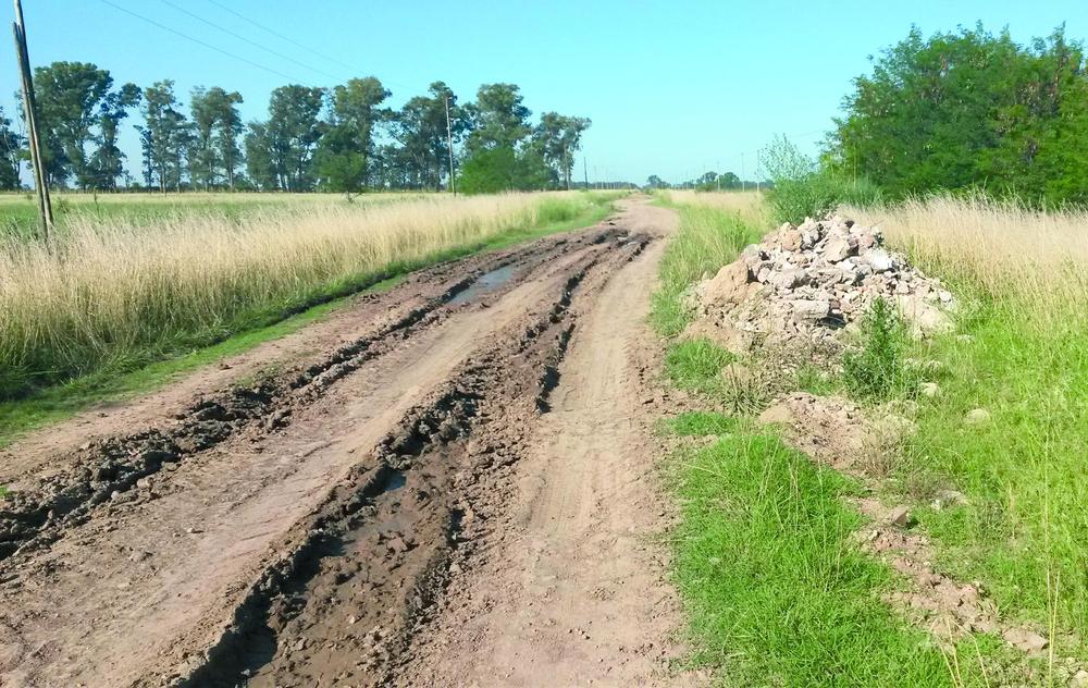 foto camino panelo