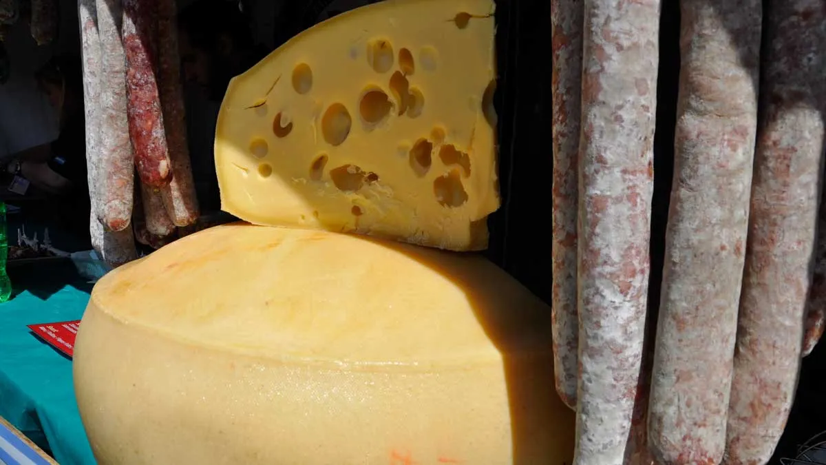 9887688ac763d8913b4fac3b6273b728_XL