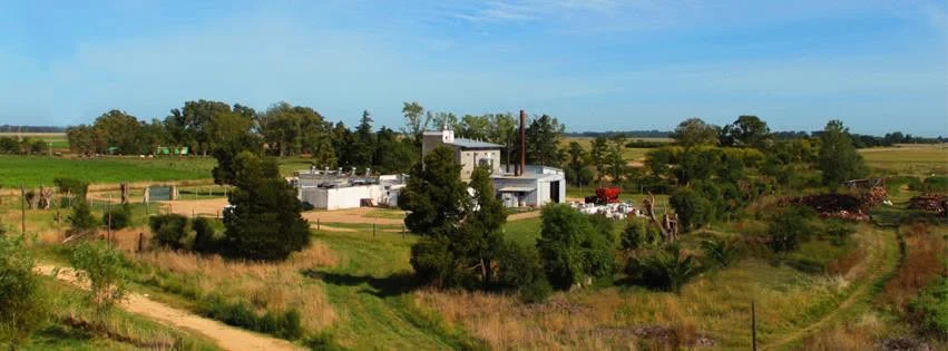 mayol panorámica
