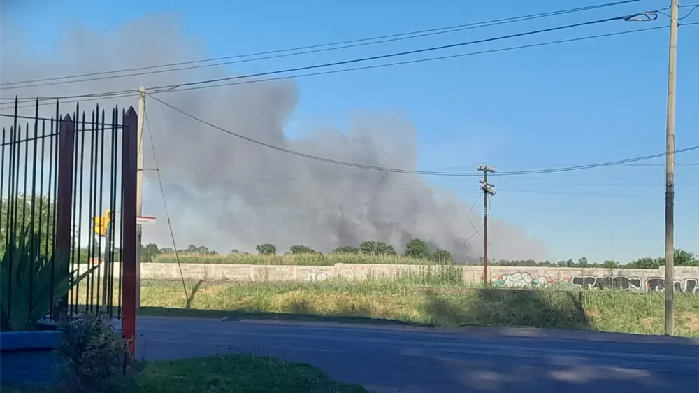 PHOTO-2025-11-15-15-26-11