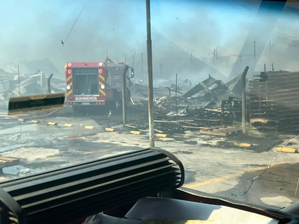 WhatsApp Image 2025-11-15 at 16.33.07