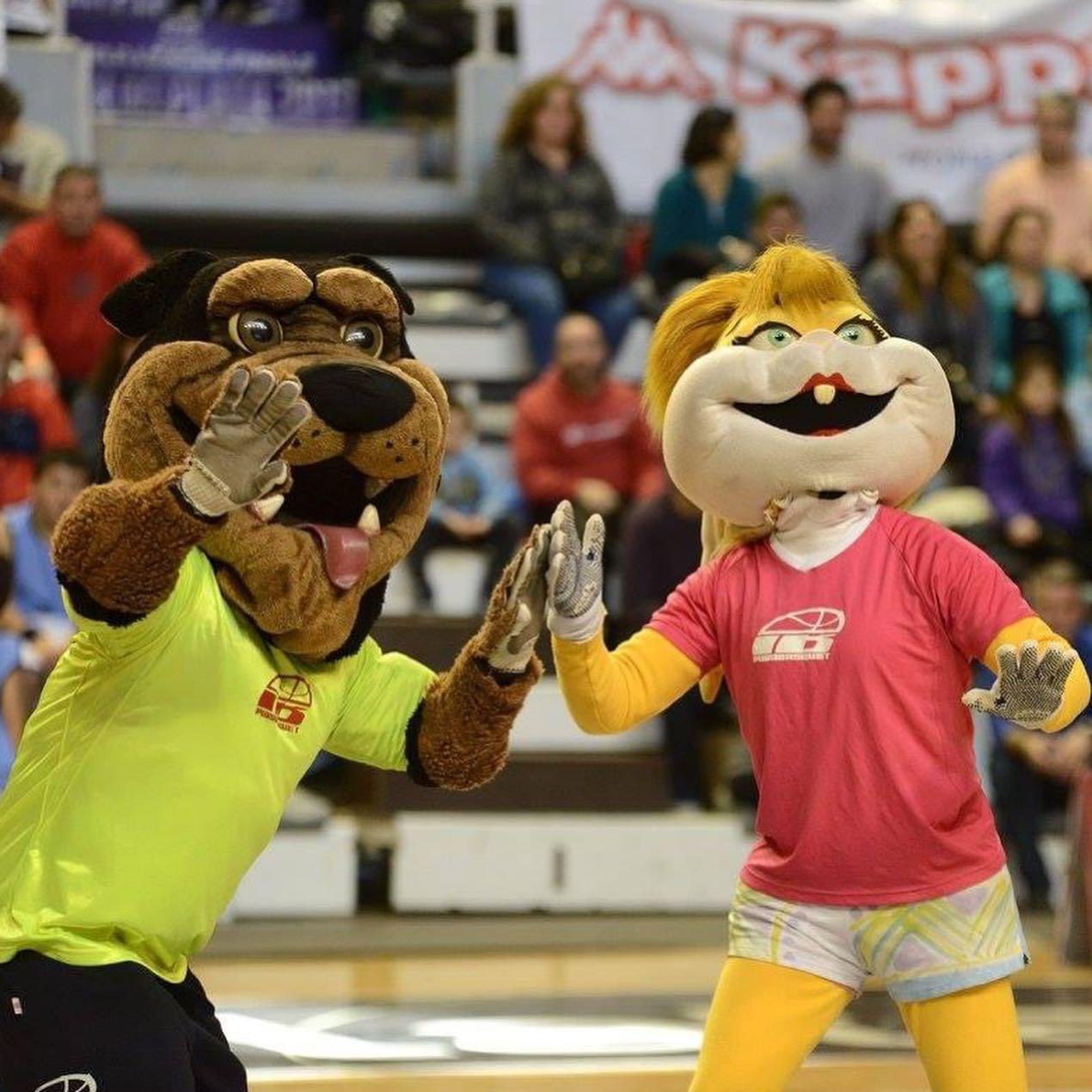 basquet open basquet mar del plata