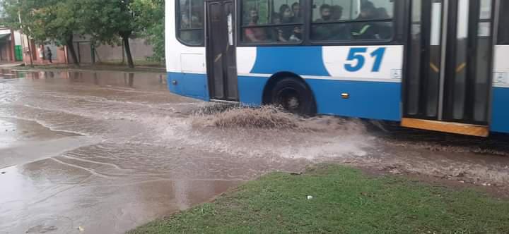 pereda 3