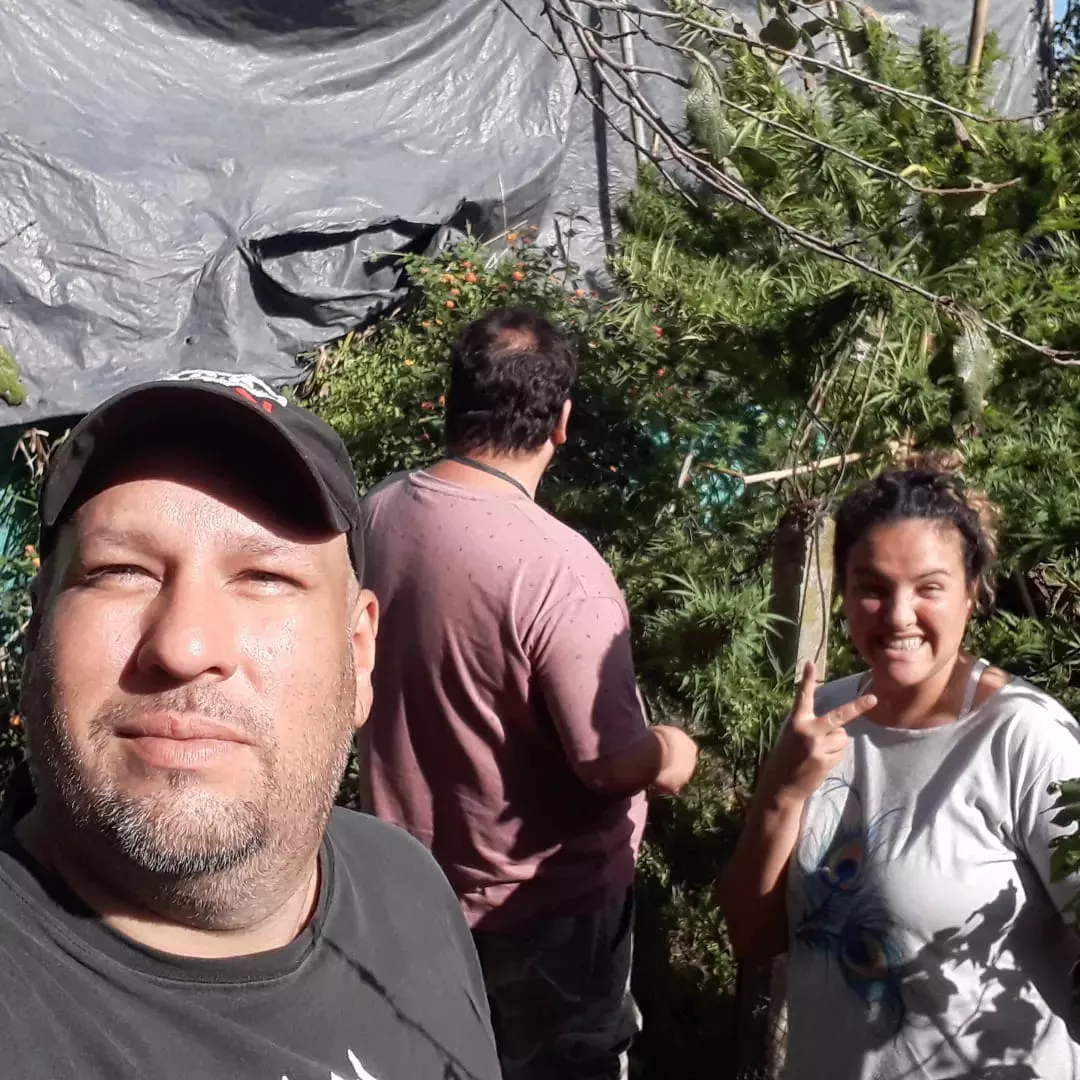 cultivadores