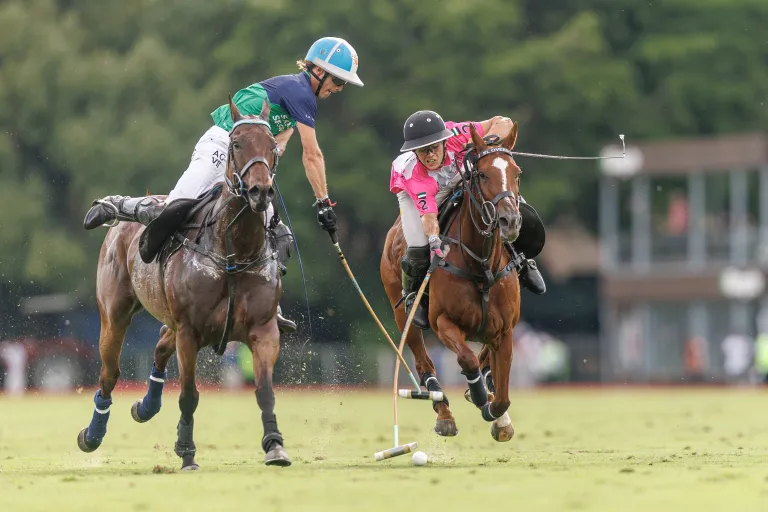la natividad la dolfina