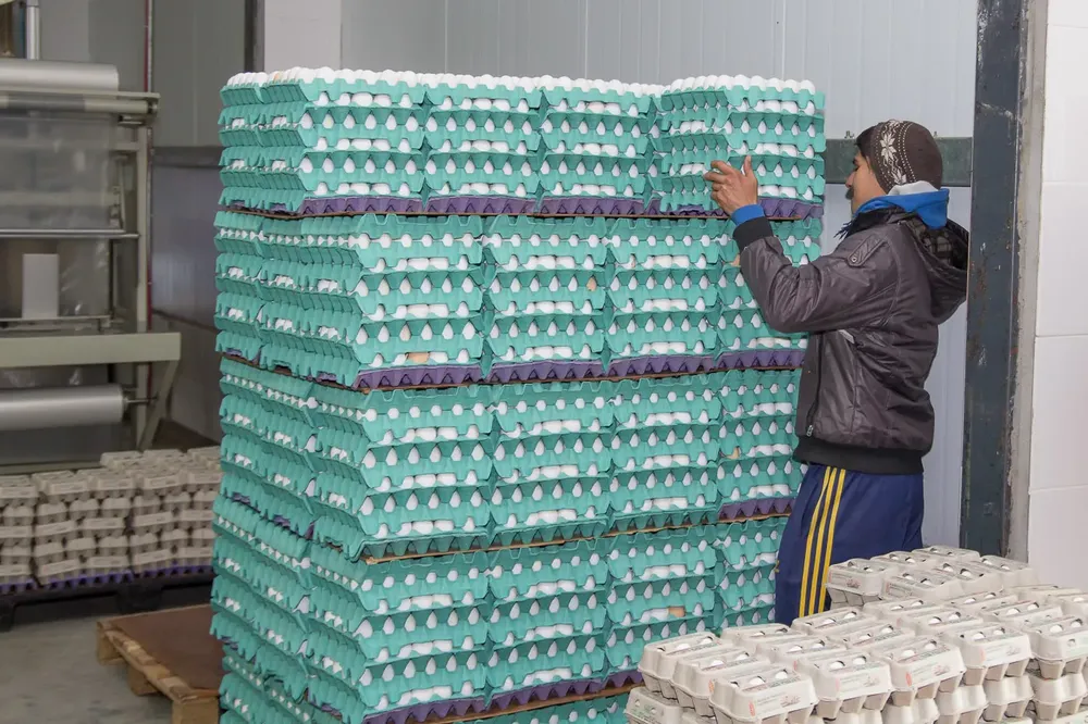 WhatsApp Image 2026-01-15 at 08.20.34