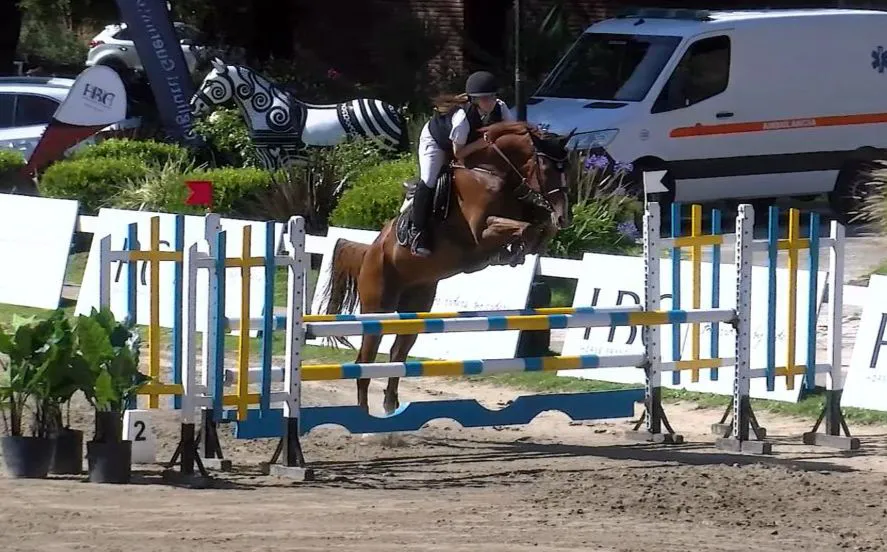 WhatsApp Image 2025-12-29 at 10.04.57