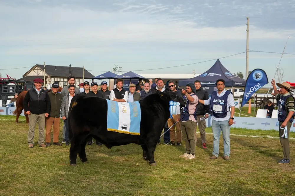 Foto Página 4 a la derecha