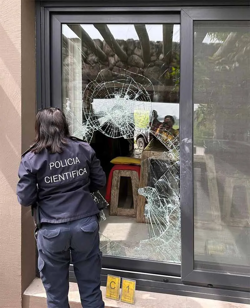 6711376ea85de_metejon-robo