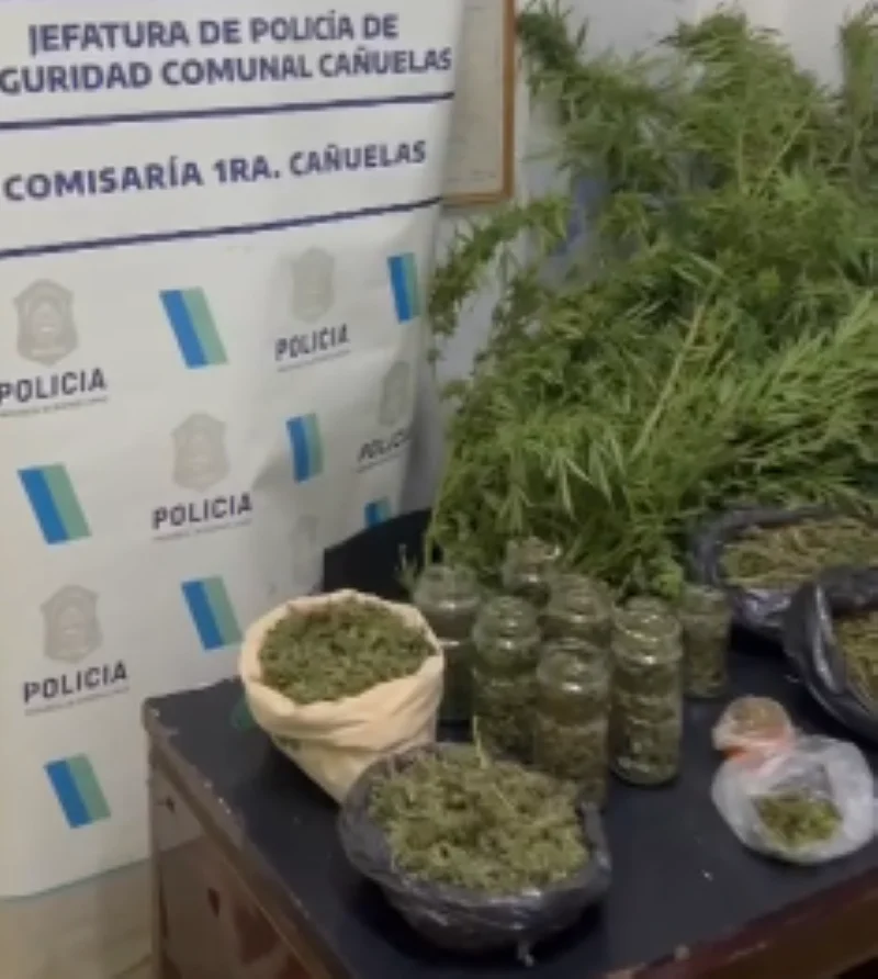 sativa