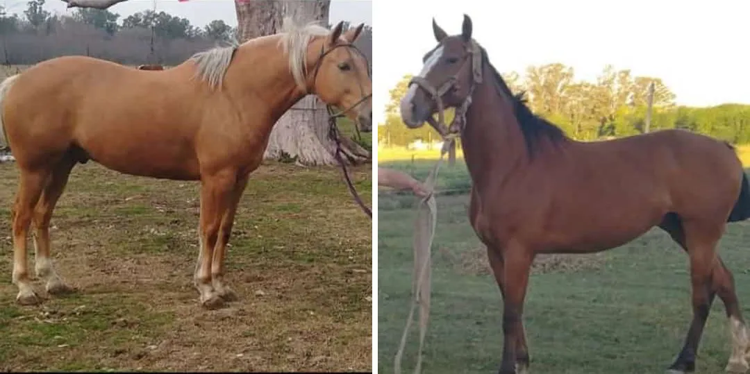 b8fe70d4-da4b-4b5c-8bd8-291add8ef993