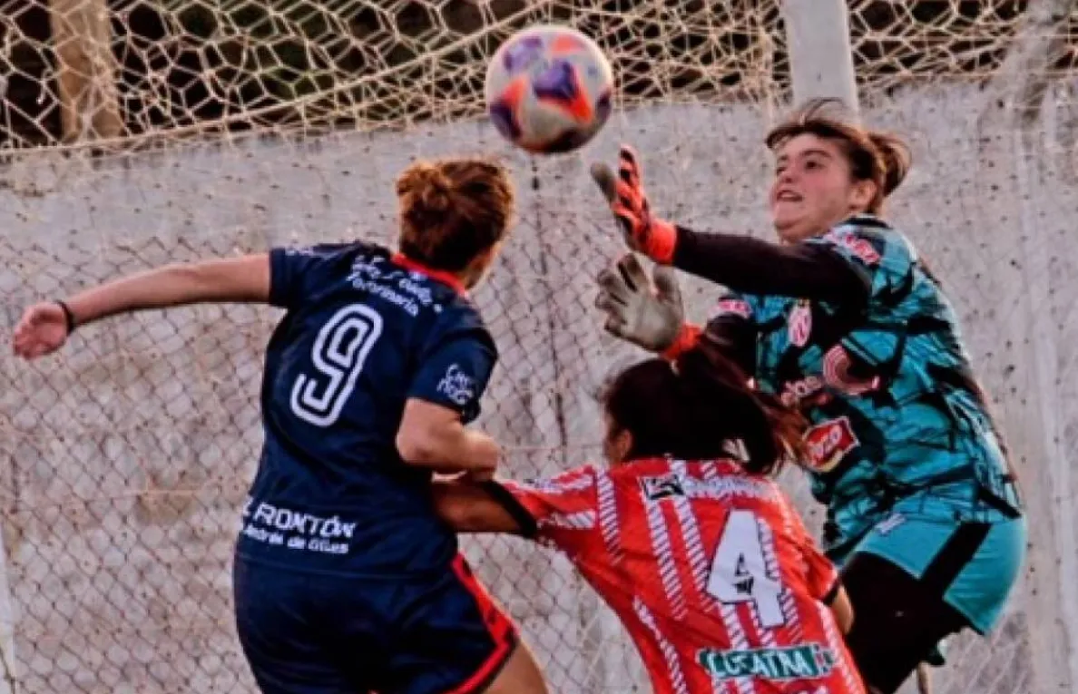 Captura de pantalla 2026-01-21 001233