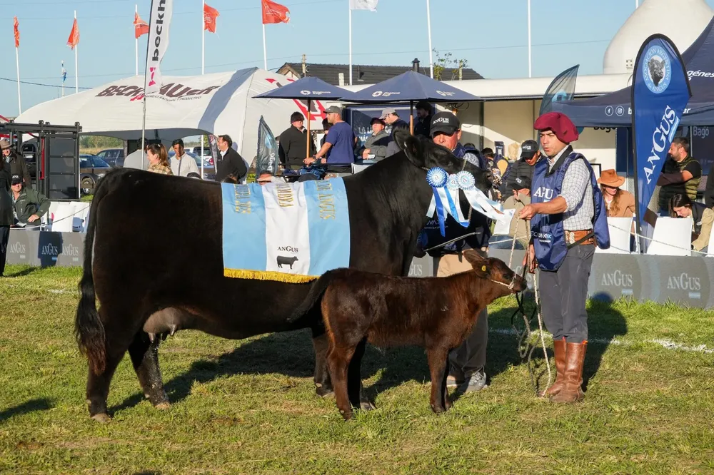 Foto Página 4 a la izquierda