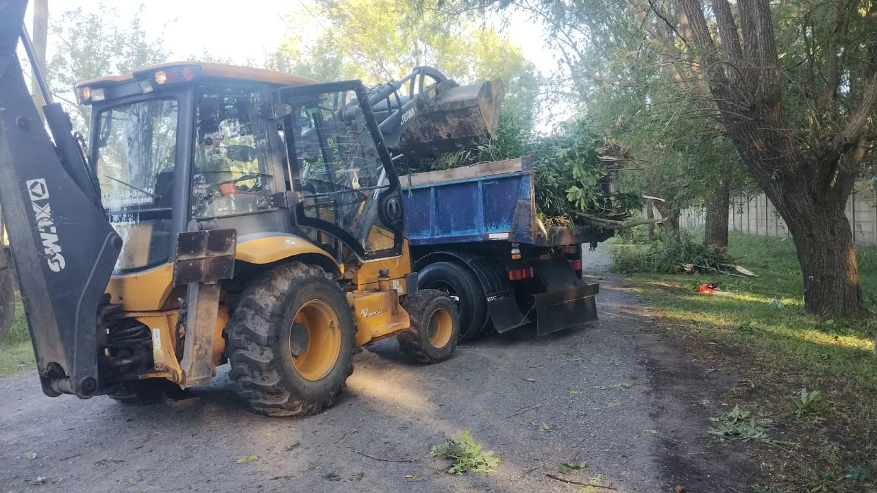 WhatsApp Image 2026-01-31 at 10.06.09