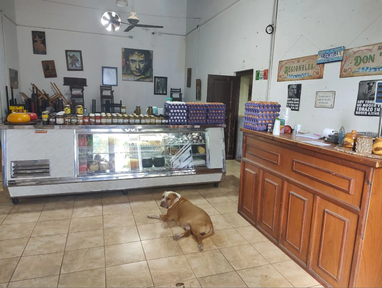 Foto Página 8 abajo