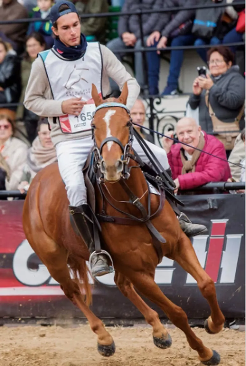 Foto Página 19 principal web