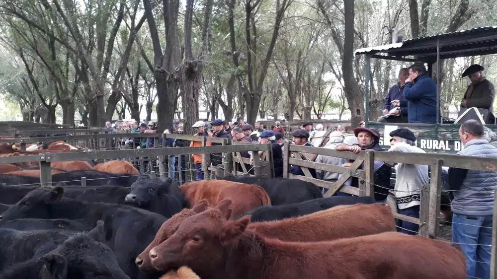 Página 11 - Zafra, a la izquierda