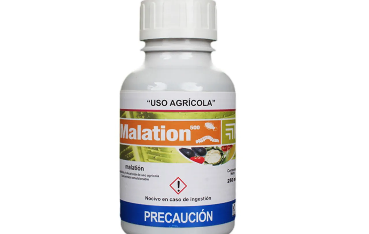 Foto Página 7 abajo