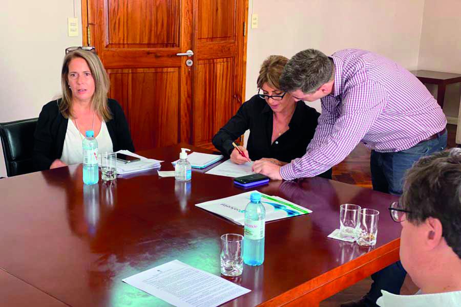 comite de emergencia