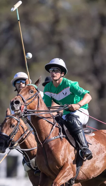 polo PERFILES camilo castagnola
