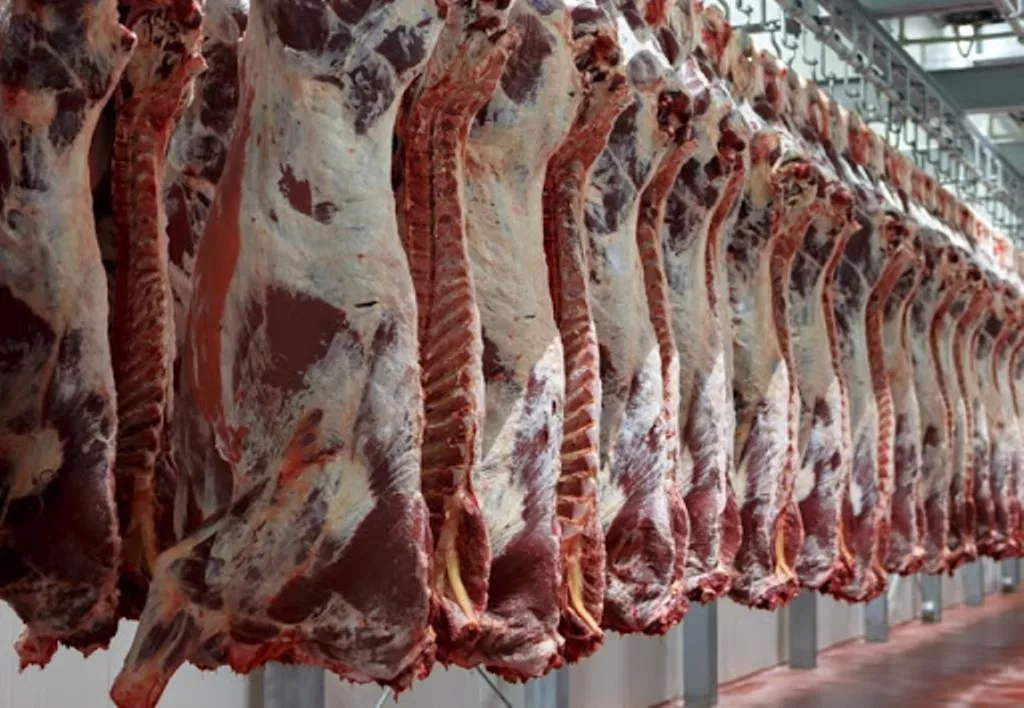 Carnes-exportacion