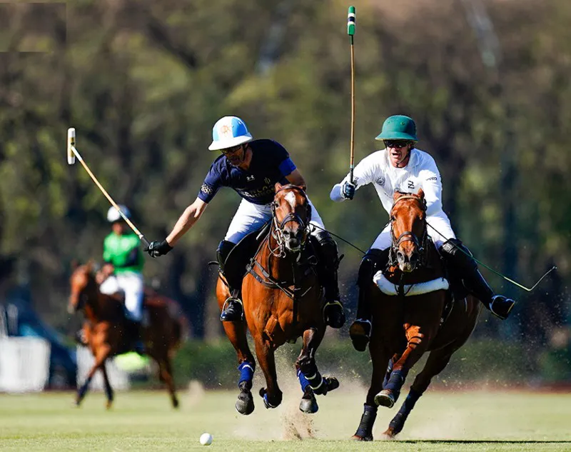 Polo