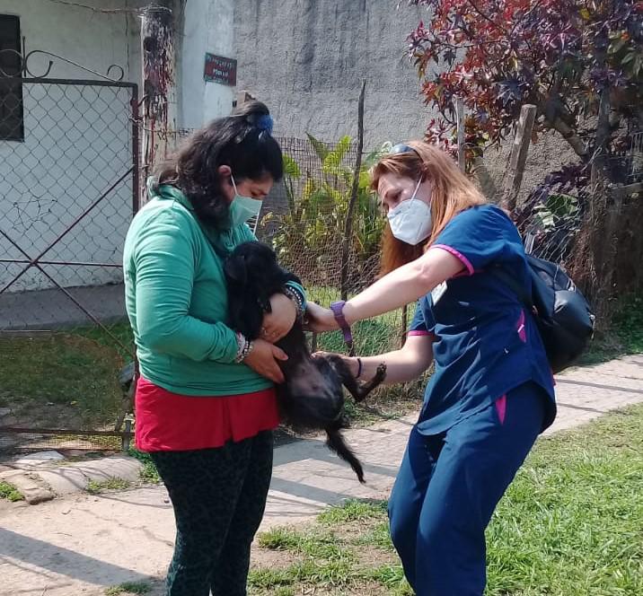 30-9 Vac. antirrabica en San Ignacio (4)