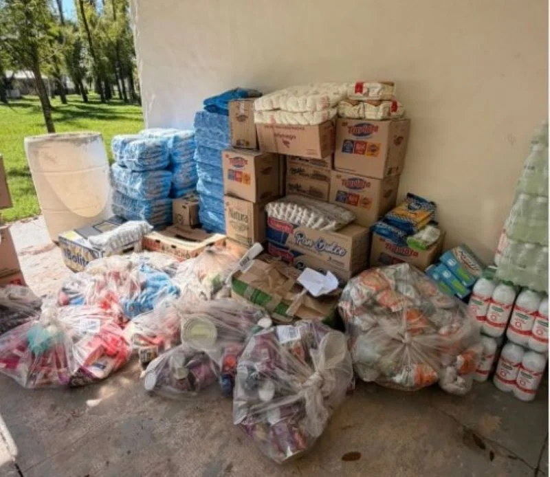 alimentos