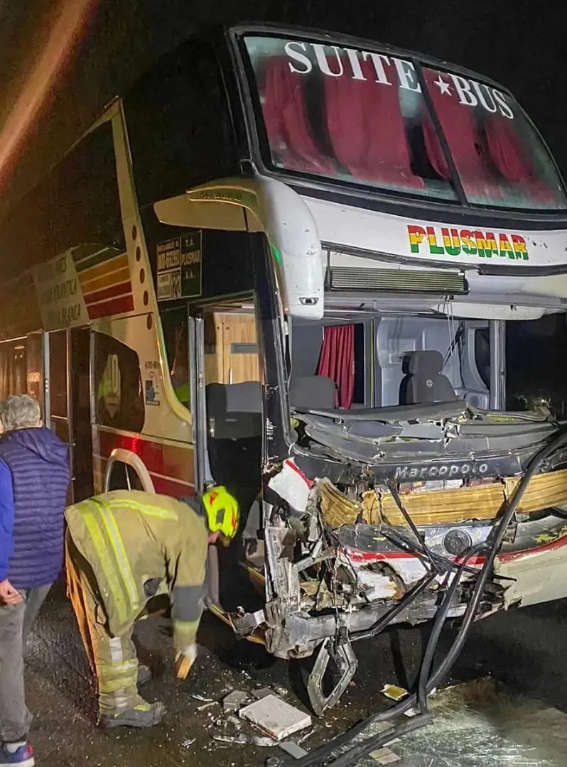 Un micro que iba a Bahía Blanca chocó y mató a dos vacas en la Ruta 3