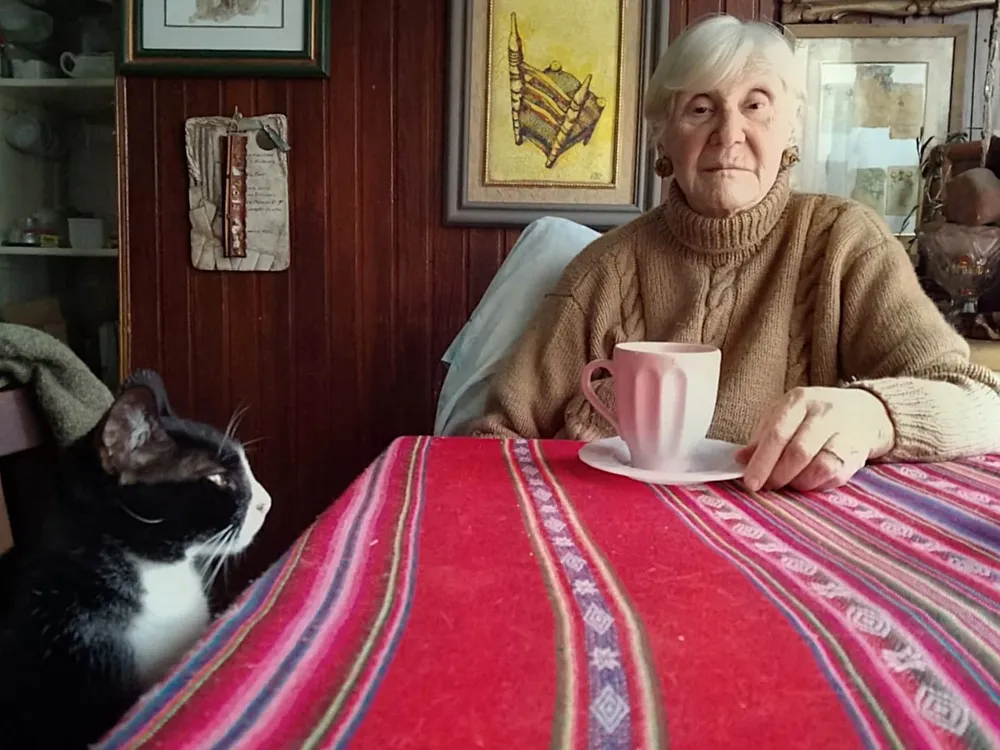 ma y gata