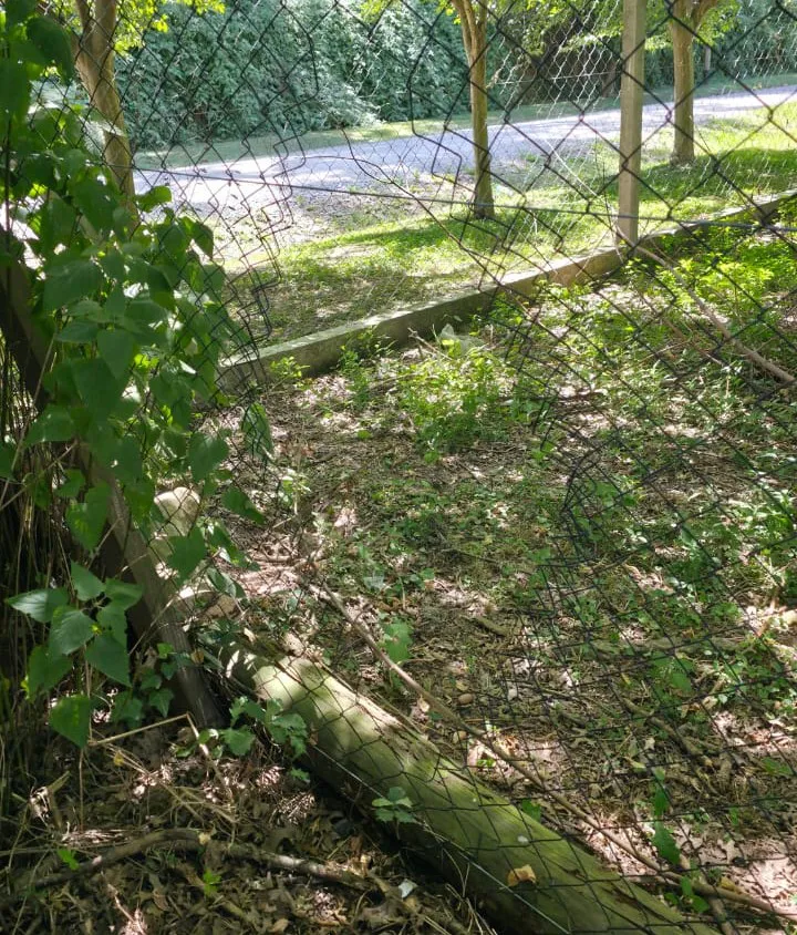 tejido