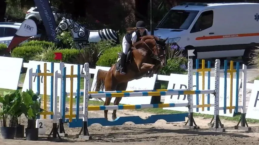 WhatsApp Image 2025-12-29 at 10.04