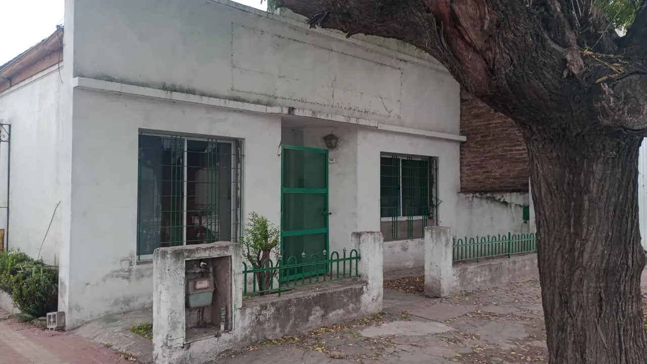 WhatsApp Image 2024-05-02 at 18.51.44