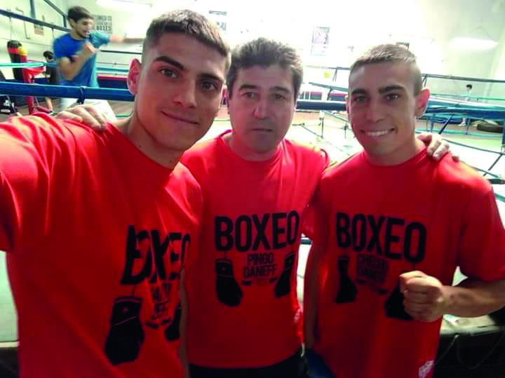 boxeo daneff