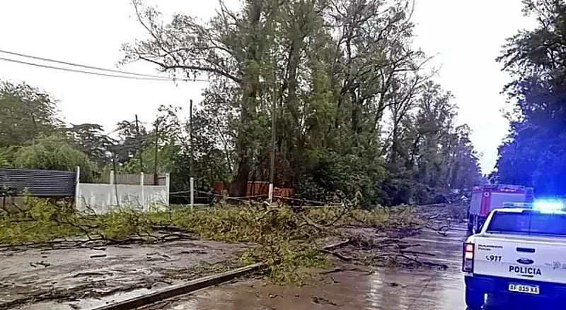 efdc67c3-ff03-4e38-8442-9f6c2504e0c2_16-9-discover-aspect-ratio_default_0