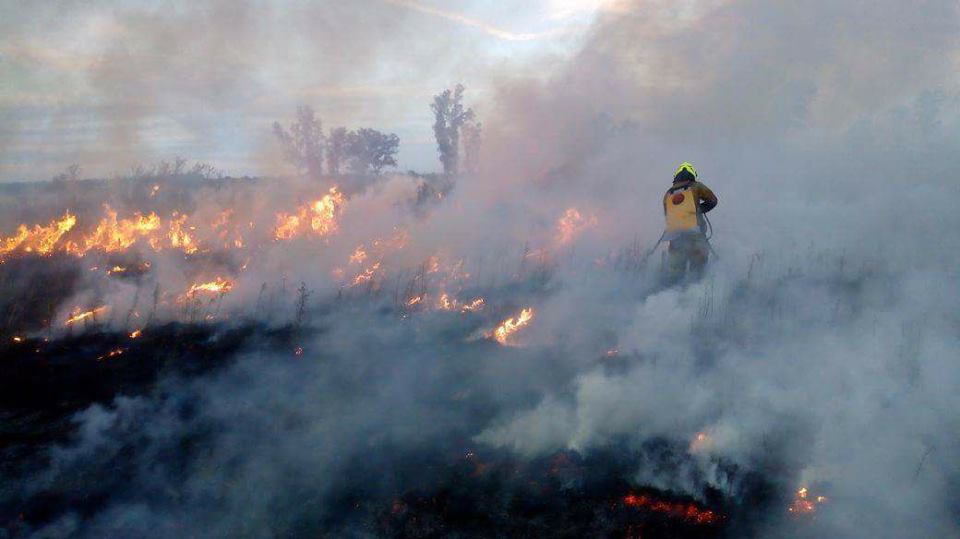 bomberos pastizales