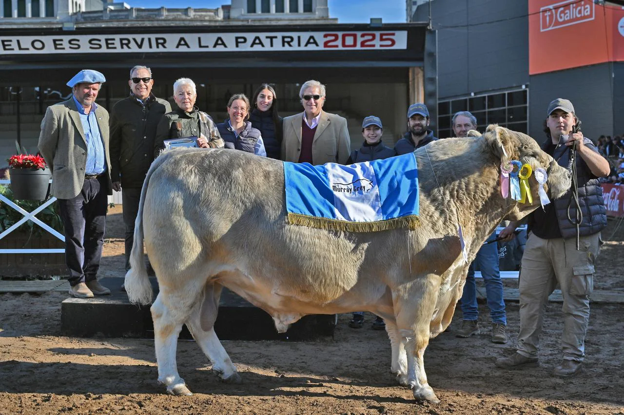 WhatsApp Image 2026-02-10 at 12.45.00