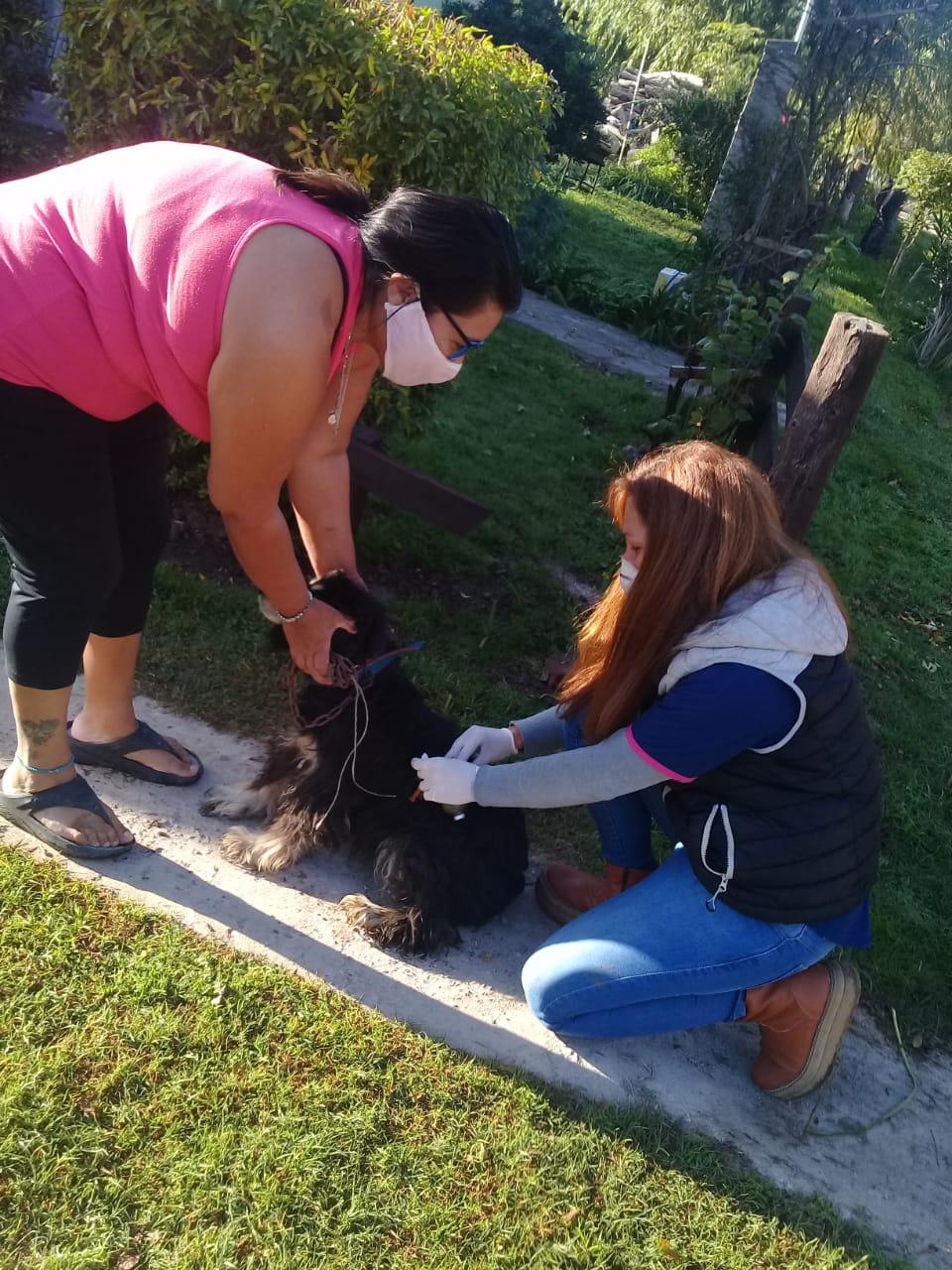 13-5 vacunación a domicilio en Uribe (4)