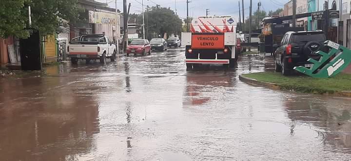 pereda 1