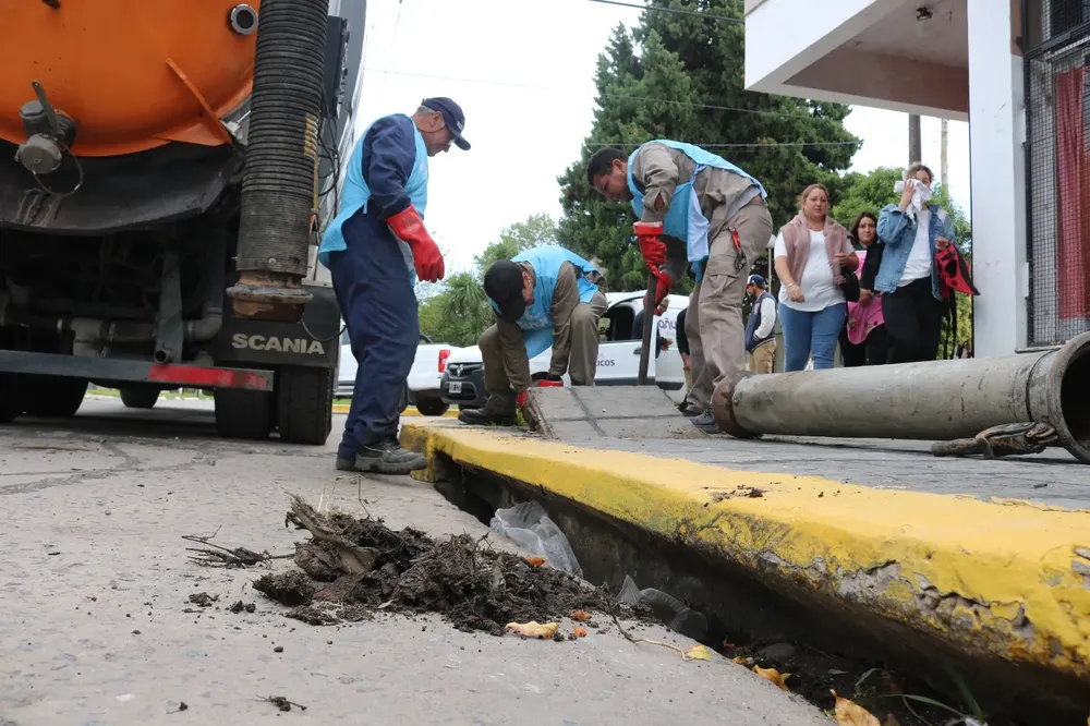 WhatsApp Image 2025-03-11 at 19.37.19