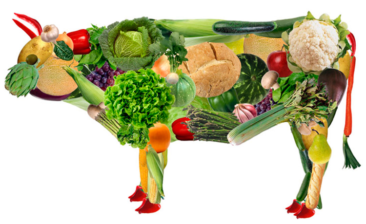 vegetarianos