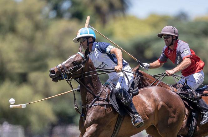 polo la dolfina adolfo cambiaso la irenita 2