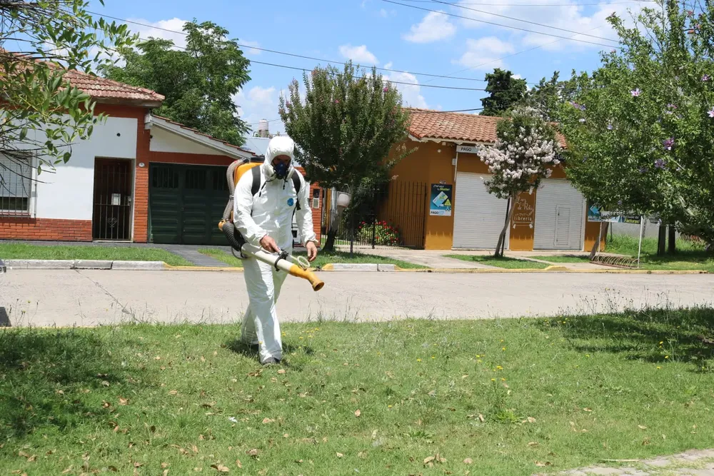 fumigaciones 2. jpg
